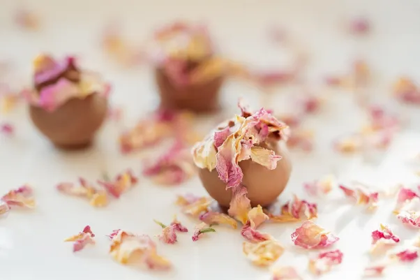 카지노 로켓 슬롯츠 안드로이드/iOS 앱